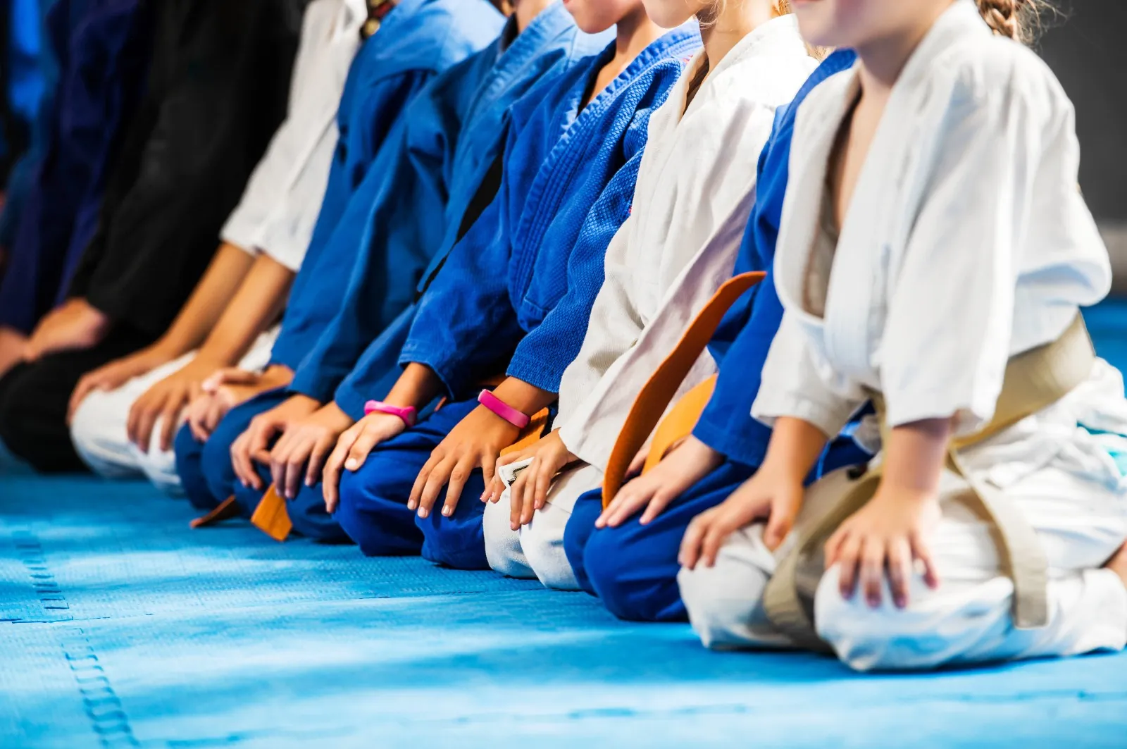 Adult Brazilian Jiu-Jitsu training